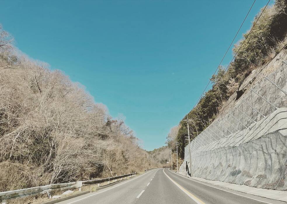 画像277