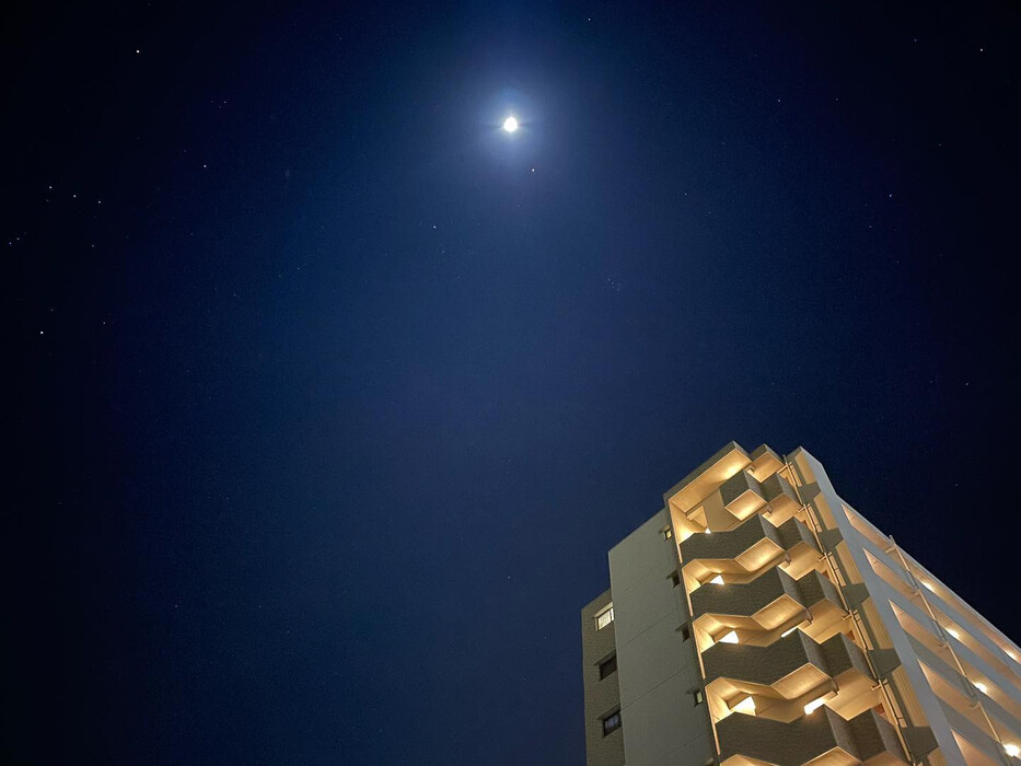 画像285