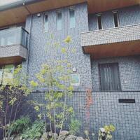 画像408