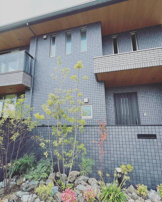 画像408